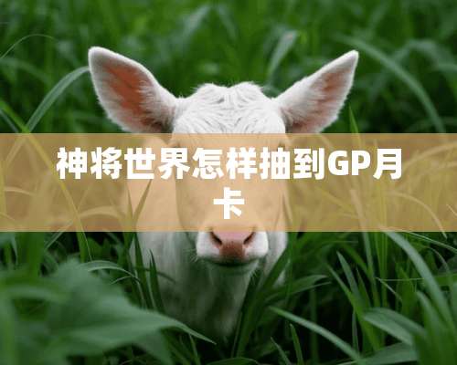 神将世界怎样抽到GP月卡