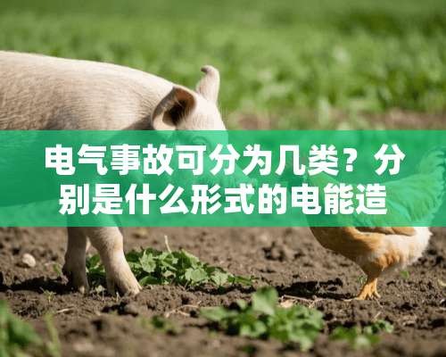 电气事故可分为几类？分别是什么形式的电能造成的？