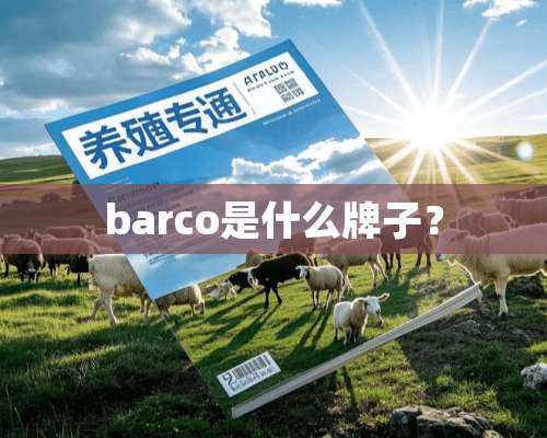 barco是什么牌子？