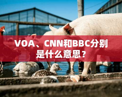 VOA、CNN和BBC分别是什么意思？