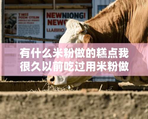 有什么米粉做的糕点我很久以前吃过用米粉做的“馒头