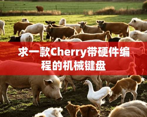 求一款Cherry带硬件编程的机械键盘