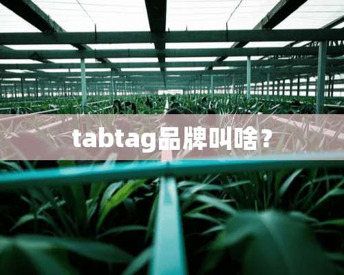 tabtag品牌叫啥？