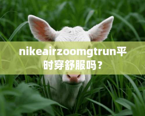 nikeairzoomgtrun平时穿舒服吗？