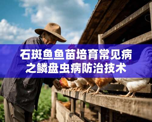 石斑鱼鱼苗培育常见病之鳞盘虫病防治技术