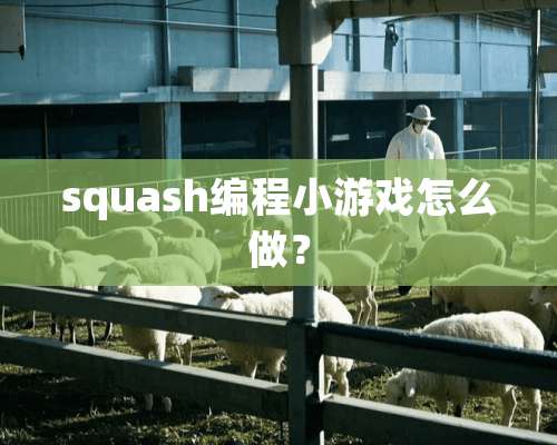 squash编程小游戏怎么做？