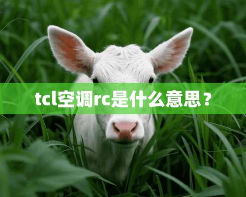 tcl空调rc是什么意思？