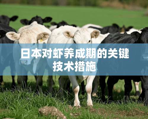 日本对虾养成期的关键技术措施