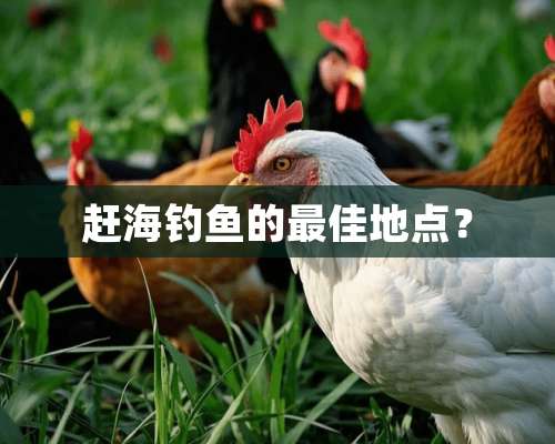 赶海钓鱼的最佳地点？