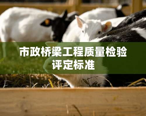 市政桥梁工程质量检验评定标准