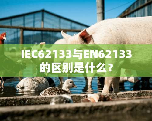 IEC62133与EN62133的区别是什么？