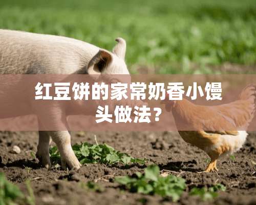 红豆饼的家常奶香小馒头做法？