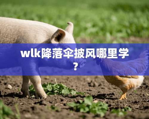 wlk降落伞披风哪里学？