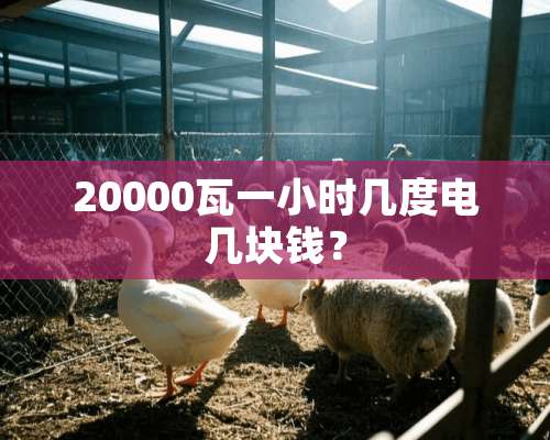 20000瓦一小时几度电几块钱？