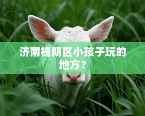 济南槐荫区小孩子玩的地方？