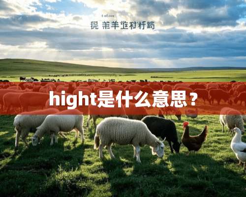 hight是什么意思？