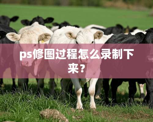 ps修图过程怎么录制下来？