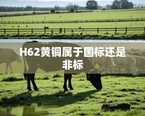 H62黄铜属于国标还是非标