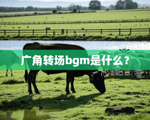 广角转场bgm是什么？