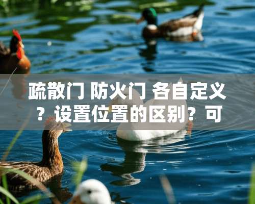 疏散门 防火门 各自定义？设置位置的区别？可以合并么？