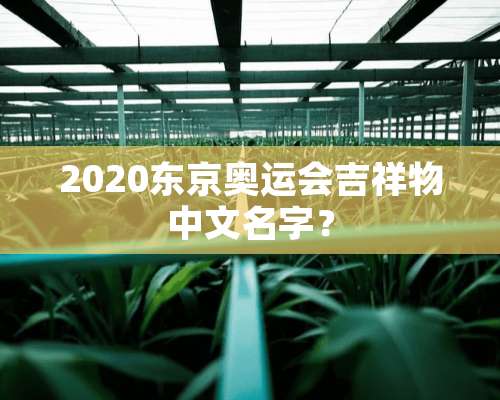 2020东京奥运会吉祥物中文名字？