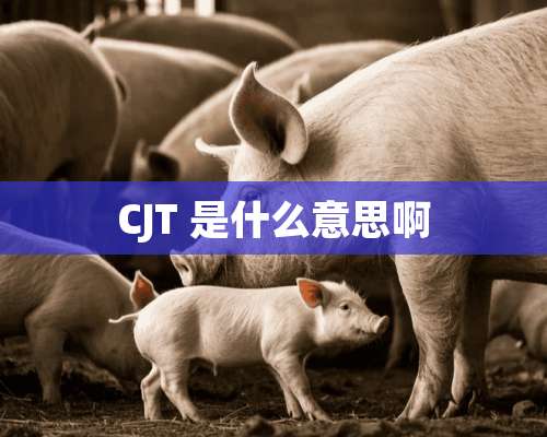 CJT 是什么意思啊