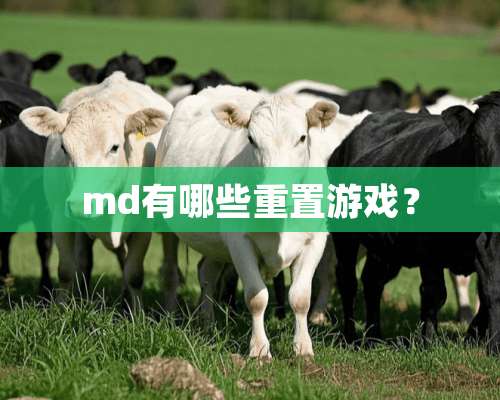 md有哪些重置游戏？