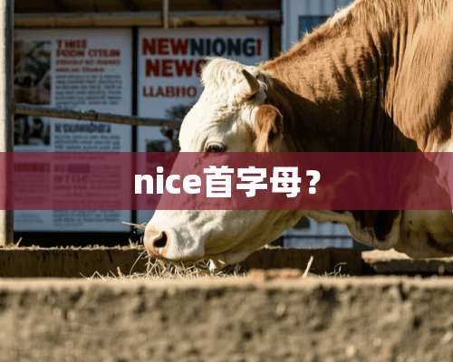 nice首字母？