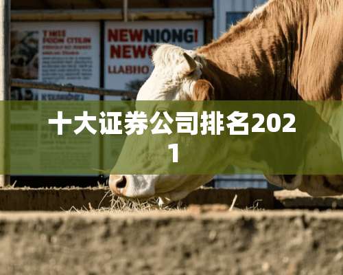 十大证券公司排名2021