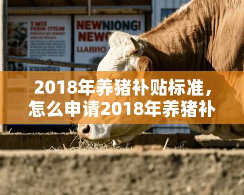 2018年养猪补贴标准，怎么申请2018年养猪补贴