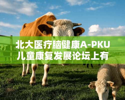 北大医疗脑健康A-PKU儿童康复发展论坛上有哪些活动？