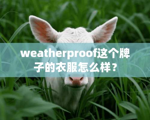 weatherproof这个牌子的衣服怎么样？