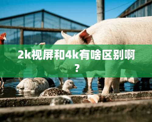 2k视屏和4k有啥区别啊？