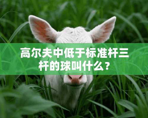 高尔夫中低于标准杆三杆的球叫什么？