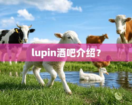 lupin酒吧介绍？