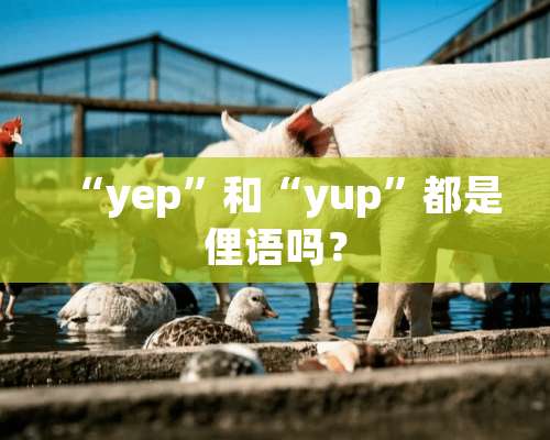 “yep”和“yup”都是俚语吗？