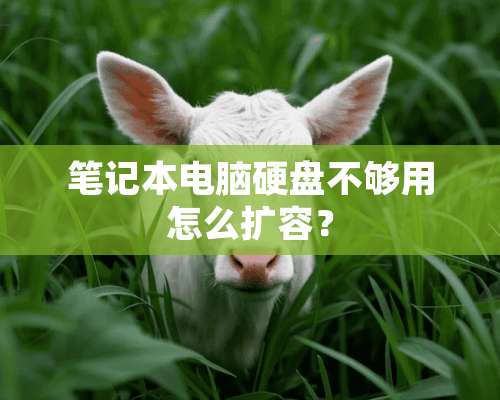 笔记本电脑硬盘不够用怎么扩容？