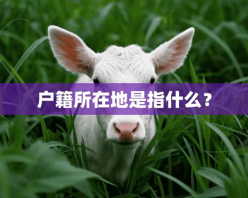 户籍所在地是指什么？