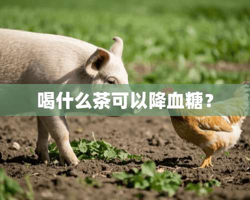 喝什么茶可以降血糖？