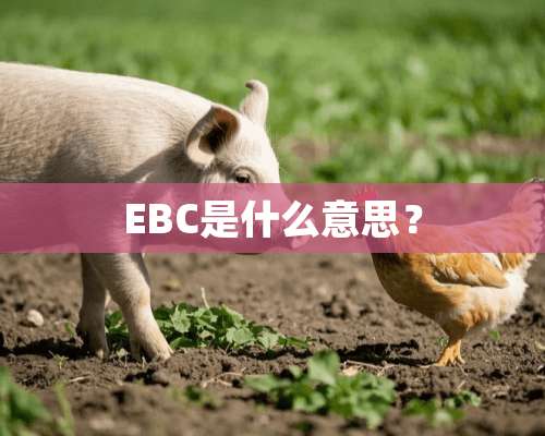 EBC是什么意思？