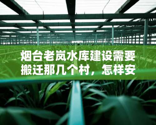 烟台老岚水库建设需要搬迁那几个村，怎样安置？