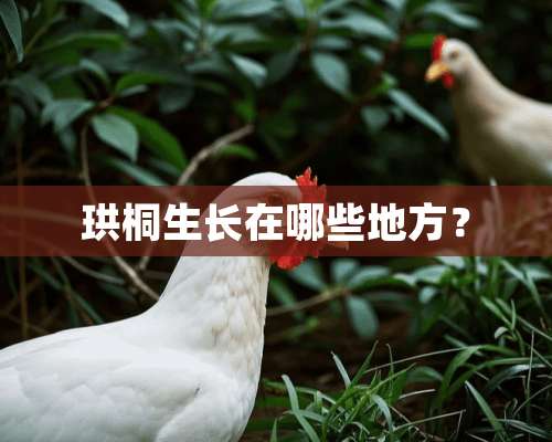 珙桐生长在哪些地方？