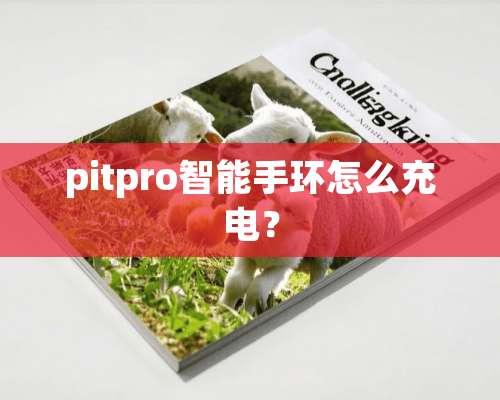 pitpro智能手环怎么充电？