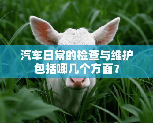 汽车日常的检查与维护包括哪几个方面？