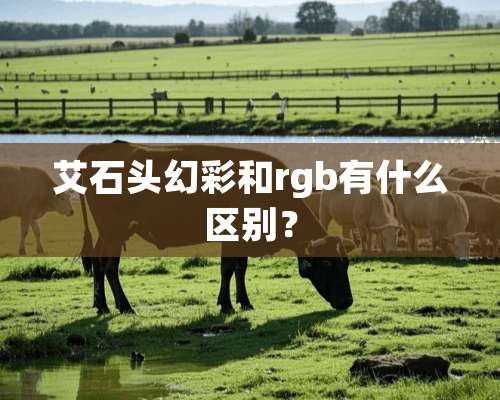 艾石头幻彩和rgb有什么区别？