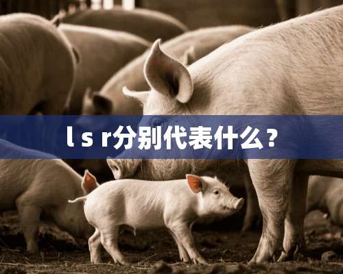 l s r分别代表什么？