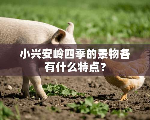 小兴安岭四季的景物各有什么特点？