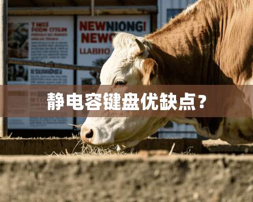 静电容键盘优缺点？