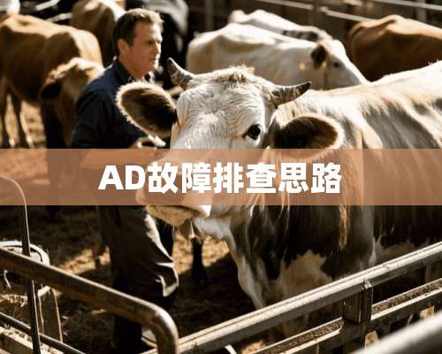 AD故障排查思路