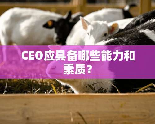 CEO应具备哪些能力和素质？